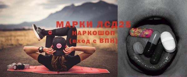 ГАЛЛЮЦИНОГЕННЫЕ ГРИБЫ Михайлов