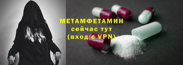 ГАЛЛЮЦИНОГЕННЫЕ ГРИБЫ Михайлов