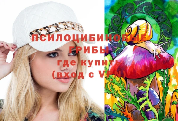ГАЛЛЮЦИНОГЕННЫЕ ГРИБЫ Михайлов
