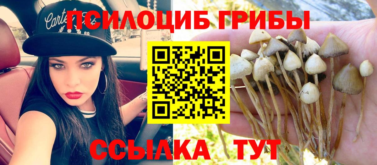 Лянтор  Галлюциногенные грибы прущие грибы  закладки  Вход с VPN 